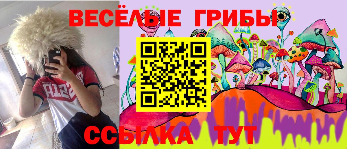 Псилоцибиновые грибы Psilocybe Саранск