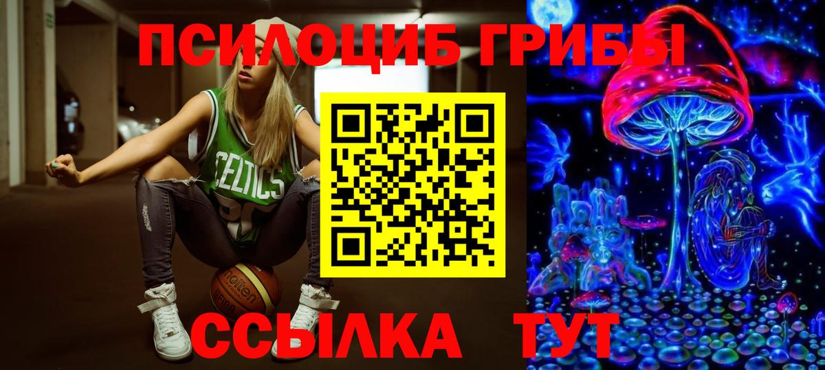 Псилоцибиновые грибы GOLDEN TEACHER  Вход с VPN  Саранск 